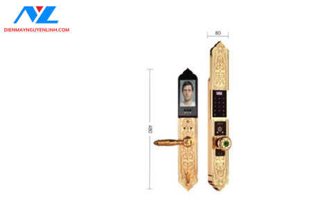 Khóa cửa chính và đại sảnh Demax EL9382 Gold APP Wifi