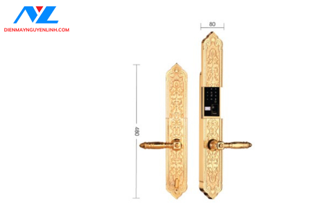 Khóa cửa chính và đại sảnh Demax EL8862 Gold APP Wifi
