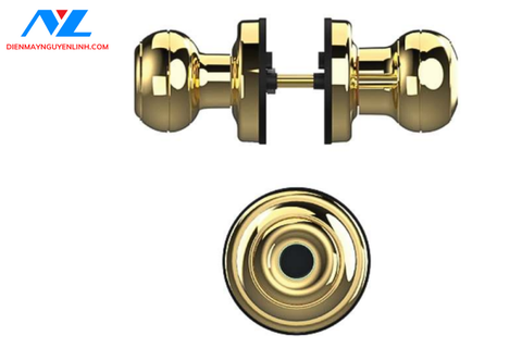 Khóa điện tử Demax SL106 YL