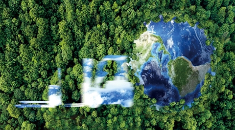 Xe nâng điện 3 bánh hay 4 bánh