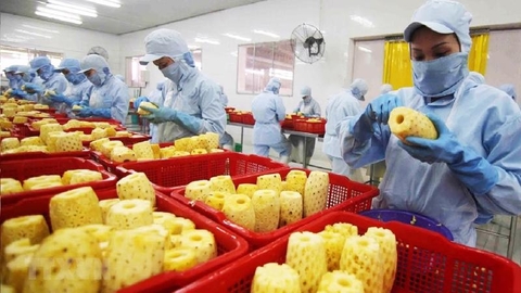 Xe Nâng Trong Ngành Thực Phẩm – Đồ Uống: Ưu Tiên Chọn Xe Nâng Điện Hay Xe Dầu? (2025)
