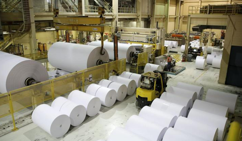 Giải pháp xe nâng cho ngành giấy và bao bì carton