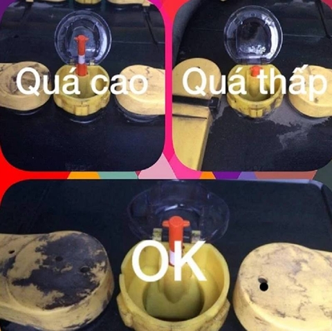 3 lý do tại sao ắc quy của bạn giảm tuổi thọ