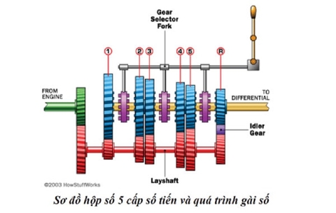 Những điều cần biết về xe nâng số sàn