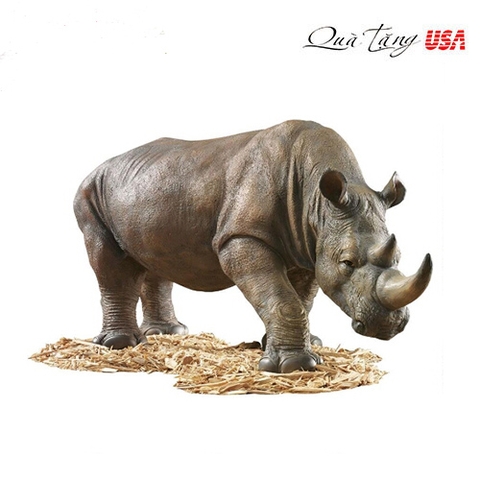 Tượng Tê giác  Nam Phi  món  quà thật khác biệt (Rất to sống động )