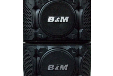 Loa B&M 6600