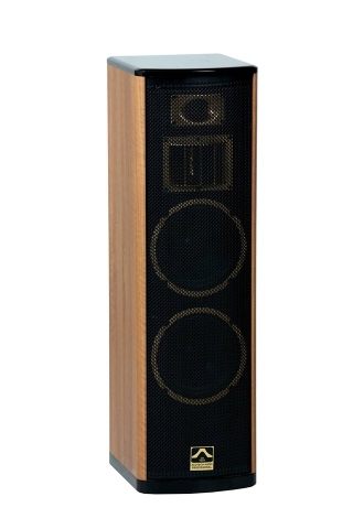 Loa Acotech A900