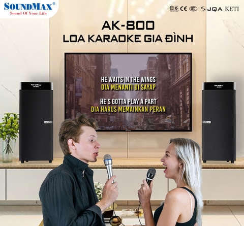 LOA VI TÍNH SOUNDMAX AK-800
