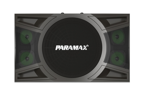 P-1000  Loa Karaoke 10-inch