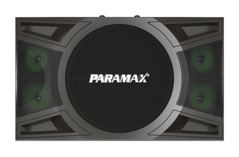 P-2000 Loa Karaoke 12-inch