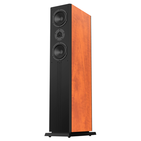 D88 Limited Loa Nghe Nhạc và Karaoke Hi-Fi