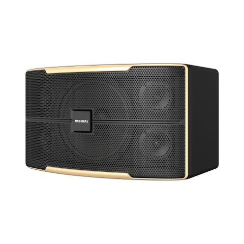 Z-1500 Loa Karaoke 10 inches
