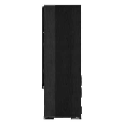 F-2500 Loa đứng karaoke và nghe nhạc bass đôi 10-inch