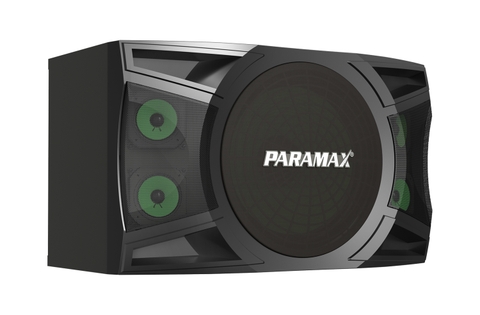 P-1000  Loa Karaoke 10-inch