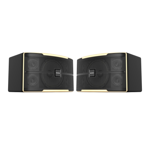 Z-1500 Loa Karaoke 10 inches