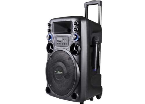 loa kéo Caliana TN10
