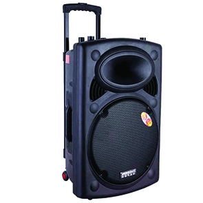 Loa trợ giảng dạng kéo Temeisheng 297L