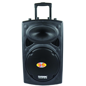 Loa trợ giảng dạng kéo Temeisheng DP-107L