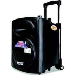 Loa trợ giảng dạng kéo Temeisheng DP-107S
