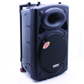 Loa trợ giảng dạng kéo Temeisheng DP-131L