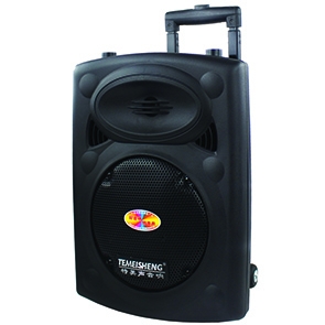 Loa trợ giảng dạng kéo Temeisheng DP-131L