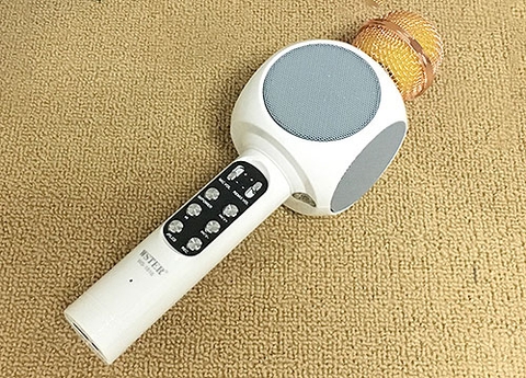MICRO KÈM LOA BLUETOOTH KARAOKE WS 1816