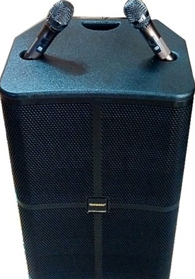 Loa kéo  Temeisheng GD 15-15