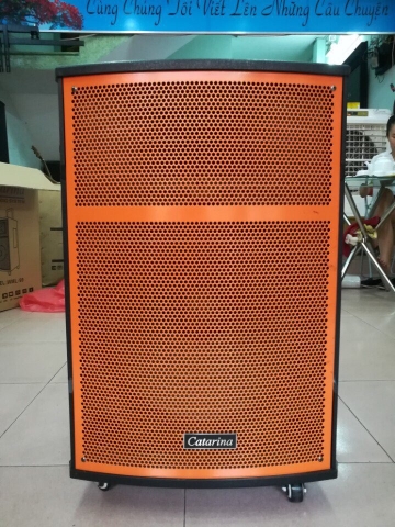 CATARINA WML VB 1