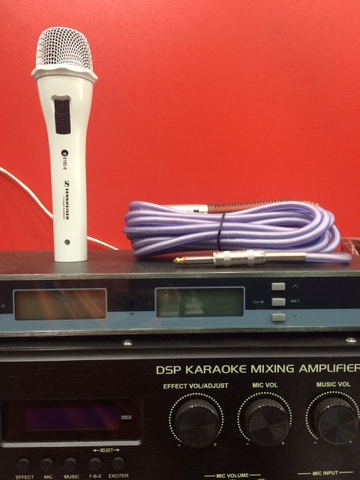 Micro có dây Sennheiser e818II-B