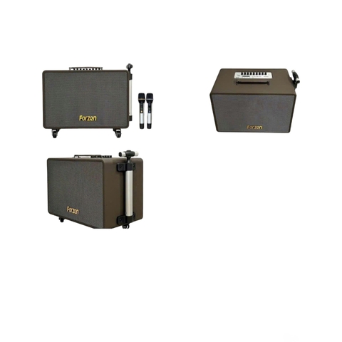 LOA DI ĐỘNG XÁCH TAY FORZEN F-265