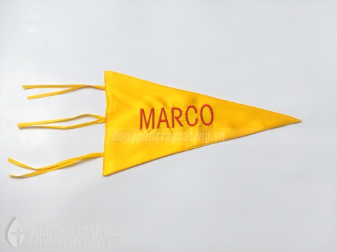 Cờ Thiếu Nhi Thánh Thể