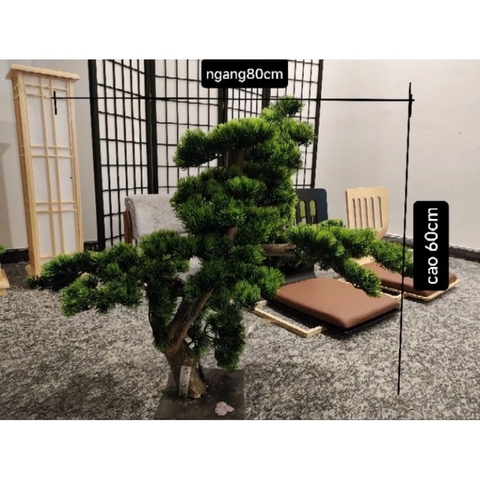 Tùng giả trang trí sân vườn Nhật cao 60cm
