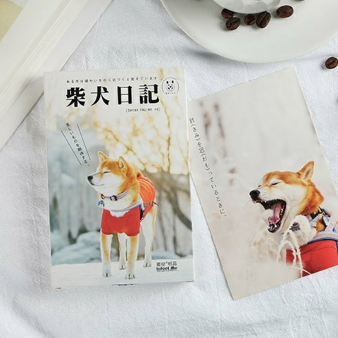 Postcard Shiba Inu