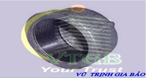 Nắp bịt ren trong, mạ kẽm.