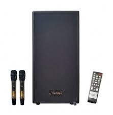 LOA KARAOKE DI ĐỘNG MICROTEK MTK 65