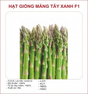 Hạt giống măng tây xanh giòn ngọt