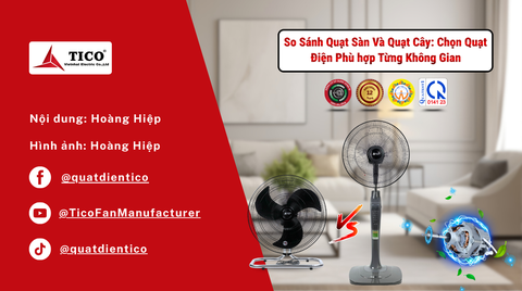 So Sánh Quạt Sàn Và Quạt Cây: Chọn Quạt Điện Phù hợp Từng Không Gian