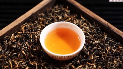 Tổng quan về Hồng Trà