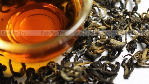 Tổng quan về Hồng trà shan tuyết và quy trình sản xuất