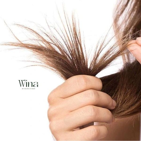 5 Cách cải thiện tóc khô xơ tại nhà dễ thực hiện