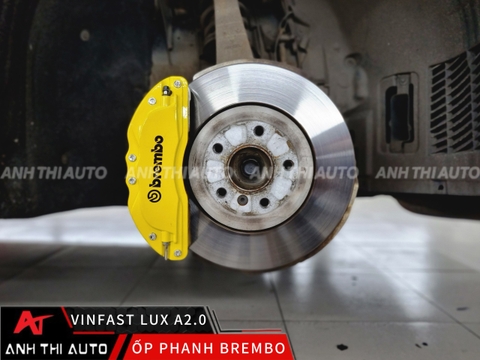 Ốp phanh Brembo theo xe