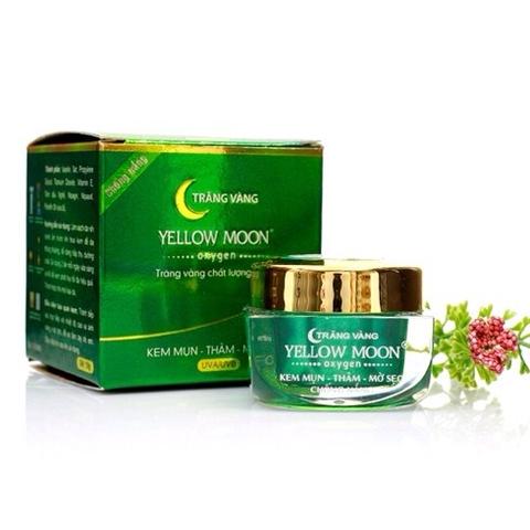 Kem Trị Mụn-Thâm-Mờ Sẹo Yellow Moon Trăng Vàng Linh Chi (19g)_YM004 