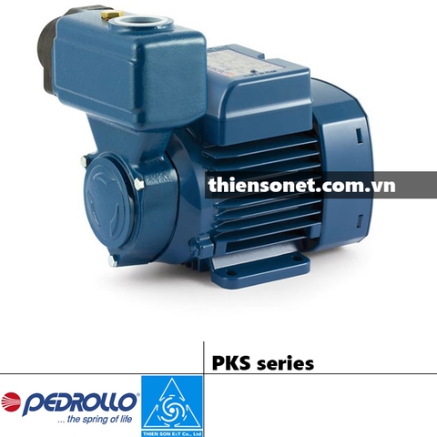 Series Máy bơm nước PEDROLLO PKS