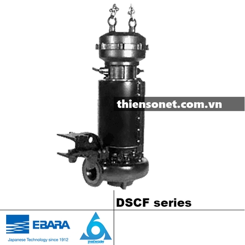 Series Máy bơm nước EBARA DSCF