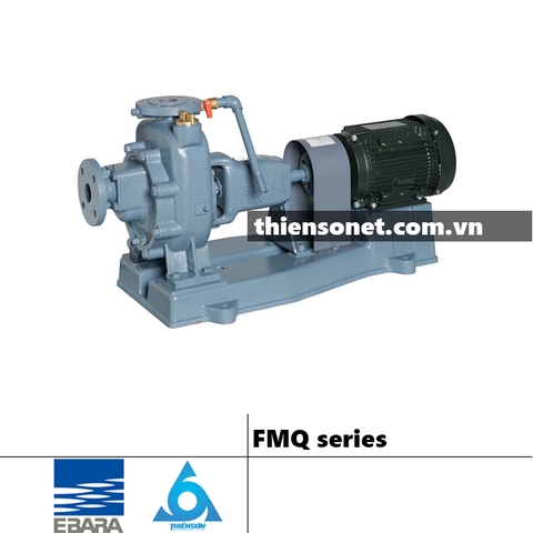 Series Máy bơm nước EBARA FMQ