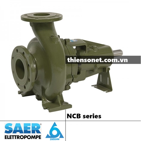 Series Máy bơm nước SAER NCB