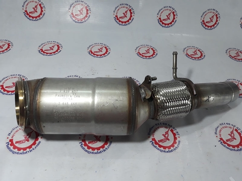 Bầu catalytic BMW -18327646432