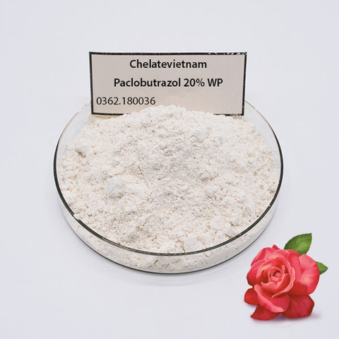 Paclobutrazol là gì? Vai trò của Paclobutrazol trong Nông Nghiệp