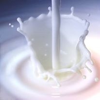 Giúp các mẹ phân biệt sữa tươi tiệt trùng và sữa tươi thanh trùng