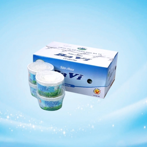 Sữa chua bò hộp 100g (thùng 12 hộp)